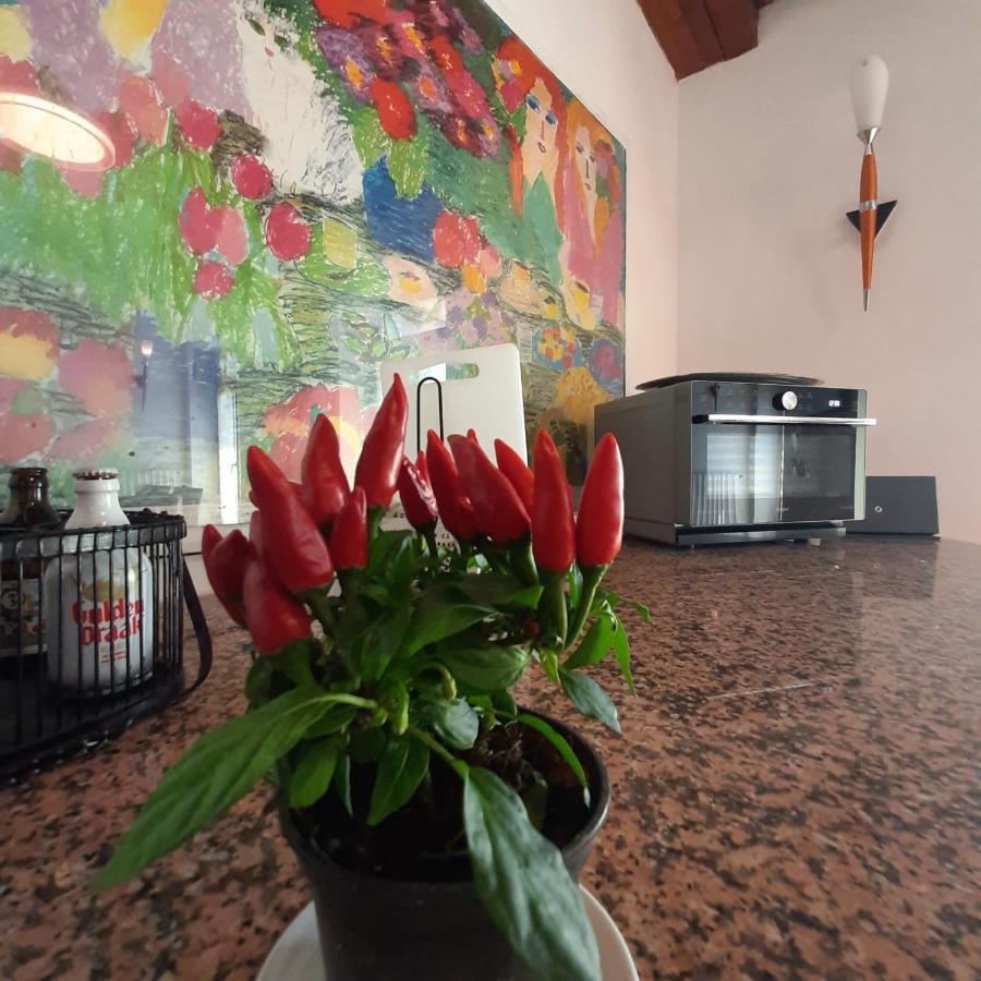 Loft Trabucco - In The Heart Of Salo City Center, Lake View, 4 Rooms Dış mekan fotoğraf